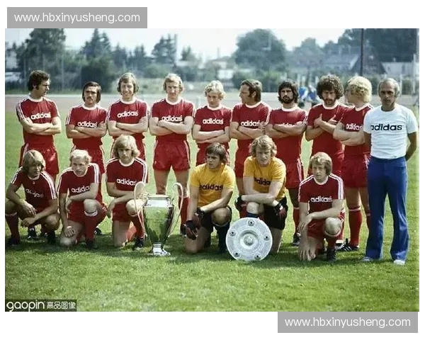 巴西世界杯足球盛宴回顾与历史意义解析