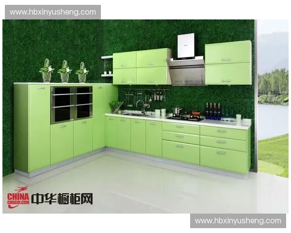 实木整体橱柜打造自然家居空间彰显品质生活新风尚引领绿色潮流 实木整体橱柜打造自然家居空间彰显品质生活新风尚引领绿色潮流